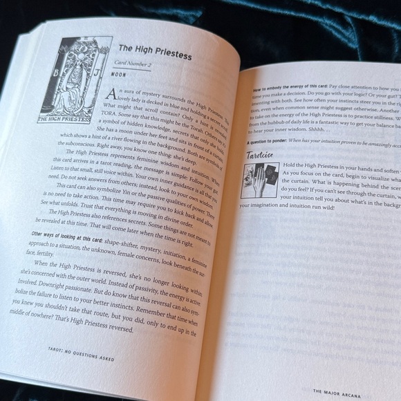 Tarot: No Questions Asked Book Mastering the Art of Intuitive Read Theresa Reed - Picture 10 of 14